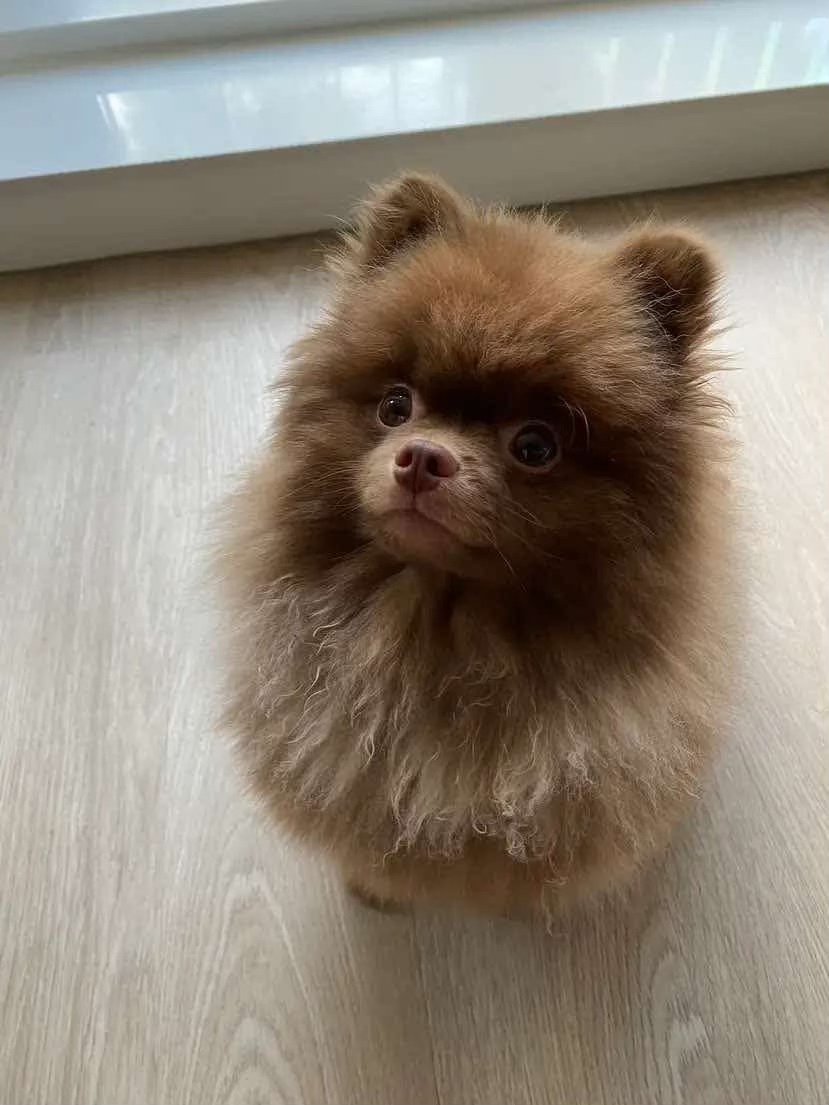 Không nói về yêu thương